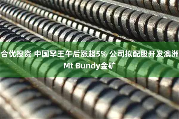 合优投资 中国罕王午后涨超5% 公司拟配股开发澳洲Mt Bundy金矿